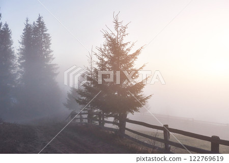 Foggy morning in the Ukrainian Carpathian Mountains in the autumn season 122769619