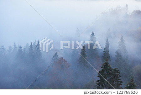 Fairy sunrise in the mountain forest landscape in the morning. The fog over the majestic pine forest. Carpathian, Ukraine, Europe. Beauty world Fairy sunrise in the mountain forest landscape in the morning. The fog over the majestic pine forest. Carpathian, Ukraine, Europe. Beauty world 122769620