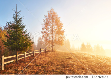 Shiny tree on a hill slope with sunny beams at mountain valley covered with fog. Gorgeous morning scene. Red and yellow autumn leaves. Carpathians, Ukraine, Europe. Discover the world of beauty 122769634