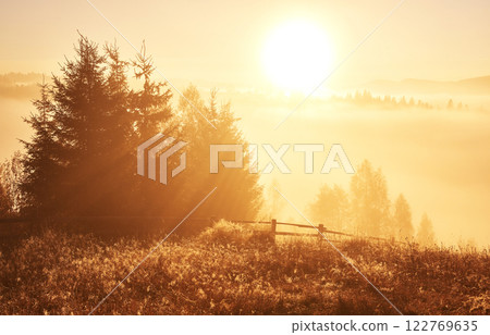 Autumn fog and the beautiful morning sun in a landscape 122769635