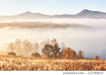 Majestic landscape with autumn trees in misty forest. Carpathian, Ukraine, Europe. Beauty world Majestic landscape with autumn trees in misty forest. Carpathian, Ukraine, Europe. Beauty world 122769637