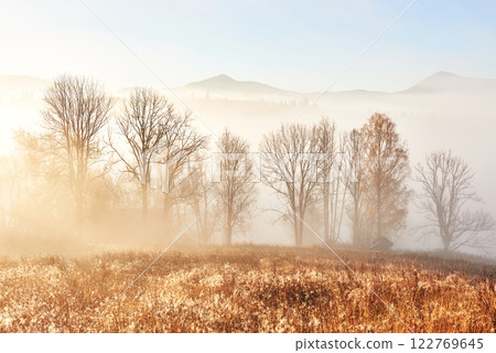 Majestic landscape with autumn trees in misty forest. Carpathian, Ukraine, Europe. Beauty world Majestic landscape with autumn trees in misty forest. Carpathian, Ukraine, Europe. Beauty world 122769645