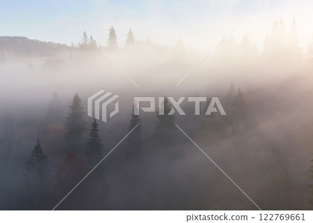Misty beech forest on the mountain slope in a nature reserve 122769661