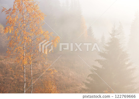 Autumn fog and the beautiful morning sun in a landscape Autumn fog and the beautiful morning sun in a landscape 122769666