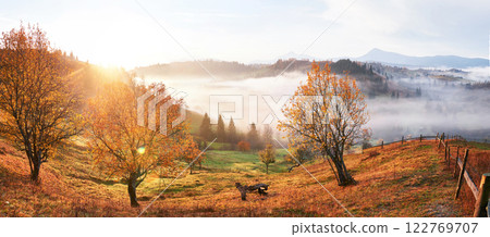 Shiny tree on a hill slope with sunny beams at mountain valley covered with fog. Gorgeous morning scene. Red and yellow autumn leaves. Carpathians, Ukraine, Europe. Discover the world of beauty Shiny tree on a hill slope with sunny beams at mountain valley covered with fog. Gorgeous morning scene. Red and yellow autumn leaves. Carpathians, Ukraine, Europe. Discover the world of beauty 122769707
