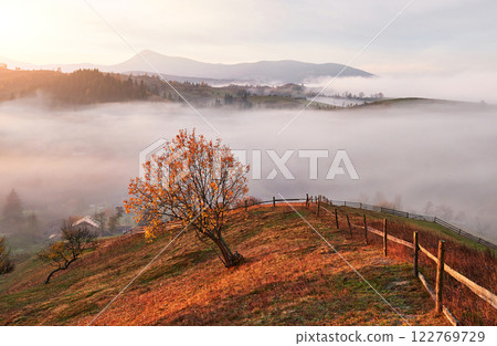 Shiny tree on a hill slope with sunny beams at mountain valley covered with fog. Gorgeous morning scene. Red and yellow autumn leaves. Carpathians, Ukraine, Europe. Discover the world of beauty 122769729