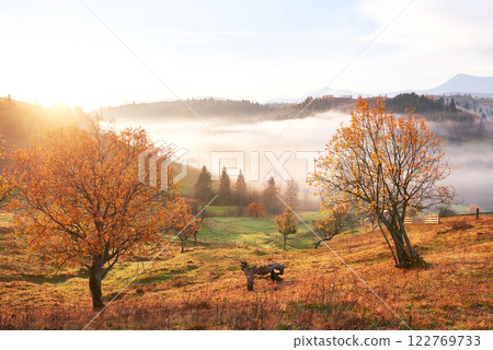 Shiny tree on a hill slope with sunny beams at mountain valley covered with fog. Gorgeous morning scene. Red and yellow autumn leaves. Carpathians, Ukraine, Europe. Discover the world of beauty Shiny tree on a hill slope with sunny beams at mountain valley covered with fog. Gorgeous morning scene. Red and yellow autumn leaves. Carpathians, Ukraine, Europe. Discover the world of beauty 122769733