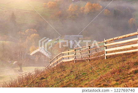 Majestic landscape with autumn trees in misty forest. Carpathian, Ukraine, Europe. Beauty world 122769740
