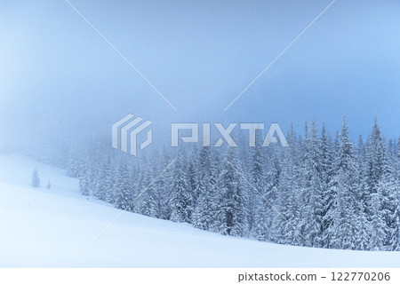 Fantastic winter landscape. On the eve of the holiday. The dramatic scene. Carpathian, Ukraine, Europe. Happy New Year 122770206