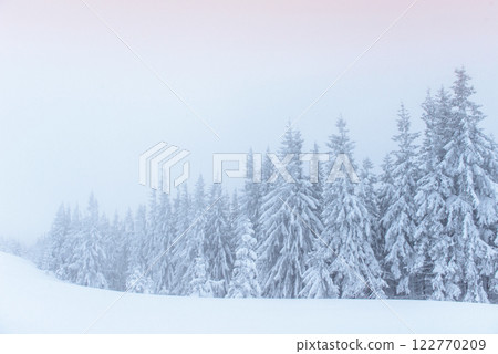 Fantastic winter landscape. On the eve of the holiday. The dramatic scene. Carpathian, Ukraine, Europe. Happy New Year Fantastic winter landscape. On the eve of the holiday. The dramatic scene. Carpathian, Ukraine, Europe. Happy New Year 122770209