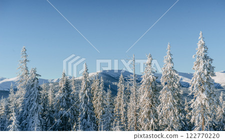 Mysterious winter landscape majestic mountains in winter. Magical winter snow covered tree. Winter road in the mountains. In anticipation of the holiday. Dramatic wintry scene. Carpathian. Ukraine Mysterious winter landscape majestic mountains in winter. Magical winter snow covered tree. Winter road in the mountains. In anticipation of the holiday. Dramatic wintry scene. Carpathian. Ukraine 122770220