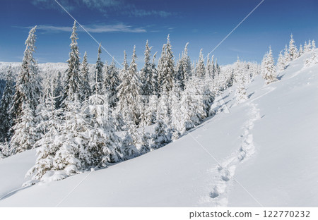 Fantastic winter landscape. Magic sunset in the mountains a frosty day. On the eve of the holiday. The dramatic scene. Carpathian, Ukraine, Europe. Happy New Year Fantastic winter landscape. Magic sunset in the mountains a frosty day. On the eve of the holiday. The dramatic scene. Carpathian, Ukraine, Europe. Happy New Year 122770232