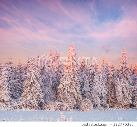 magical winter snow covered tree magical winter snow covered tree 122770353