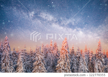 magical winter snow covered tree. Winter landscape. magical winter snow covered tree. Winter landscape. 122770355