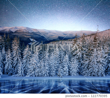 magical winter snow covered tree. Winter landscape. The winter lake is frozen on the front magical winter snow covered tree. Winter landscape. The winter lake is frozen on the front 122770395