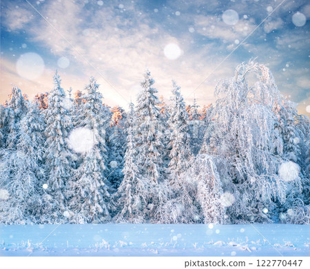 Mysterious winter landscape majestic mountains in winter. Magical winter snow covered tree. Photo greeting card. Bokeh light effect, soft filter. Mysterious winter landscape majestic mountains in winter. Magical winter snow covered tree. Photo greeting card. Bokeh light effect, soft filter. 122770447