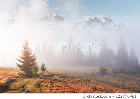 Morning fog creeps with scraps over autumn mountain forest covered in gold leaves. Snowy peaks of majestic mountains in the background 122770461