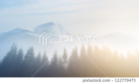 Morning fog creeps with scraps over autumn mountain forest covered in gold leaves. Snowy peaks of majestic mountains in the background 122770473
