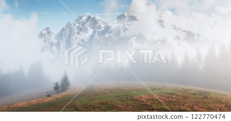 Morning fog creeps with scraps over autumn mountain forest covered in gold leaves. Snowy peaks of majestic mountains in the background 122770474