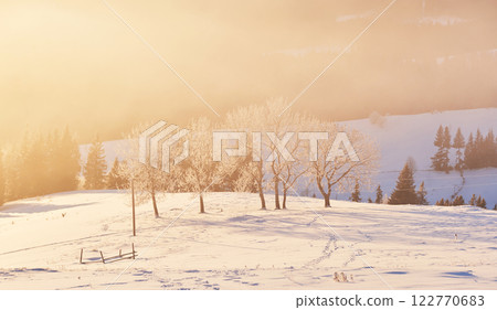 winter landscape trees and fence in hoarfrost, background with snow flakes winter landscape trees and fence in hoarfrost, background with snow flakes 122770683