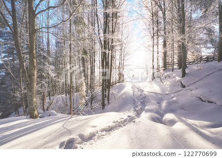 winter landscape trees and fence in hoarfrost, background with  snow flakes 122770699
