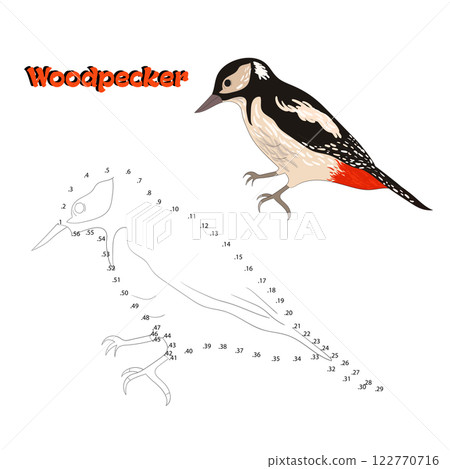 Educational game connect the dots to draw bird 122770716