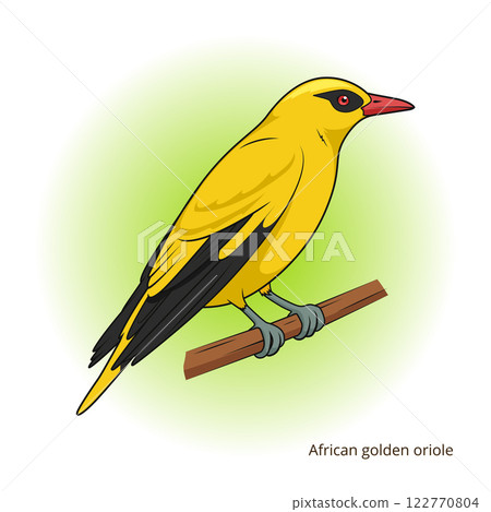African Golden Oriole bird educational game vector African Golden Oriole bird educational game vector 122770804