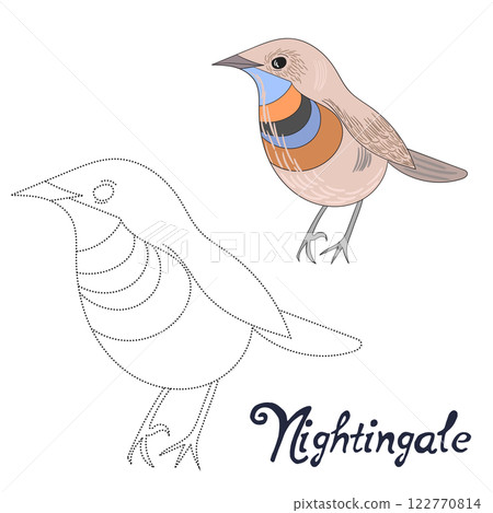 Educational game connect dots draw nightingale 122770814