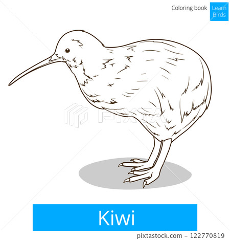 Kiwi learn birds coloring book vector Kiwi learn birds coloring book vector 122770819