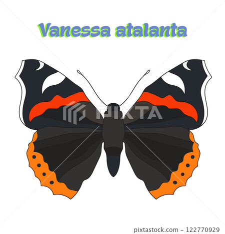 Butterfly vanessa atalanta vector illustration 122770929