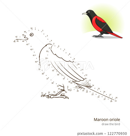 Maroon oriole bird learn to draw vector 122770930