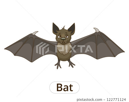 Forest animal bat cartoon vector illustration Forest animal bat cartoon vector illustration 122771124