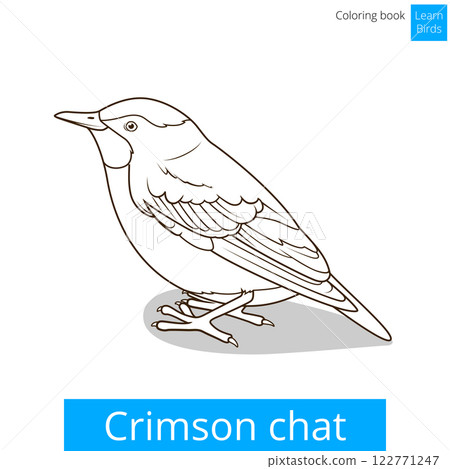 Crimson chat bird coloring book vector Crimson chat bird coloring book vector 122771247