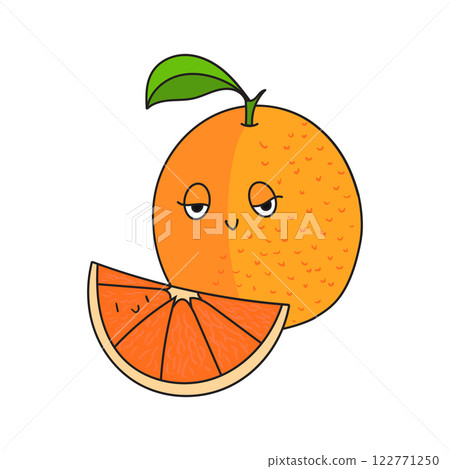 Fruit orange vector illustration 122771250