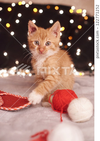 Christmas picture with a cute ginger cat of colorful lights on the background Christmas picture with a cute ginger cat of colorful lights on the background 122771252