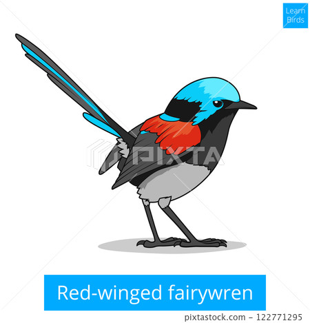 Red winged fairywren bird educational game vector Red winged fairywren bird educational game vector 122771295