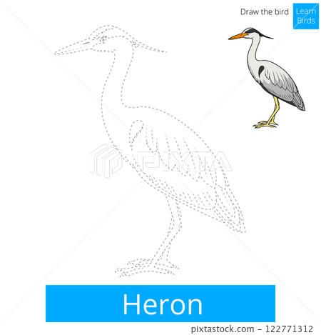 Heron bird learn to draw vector 122771312