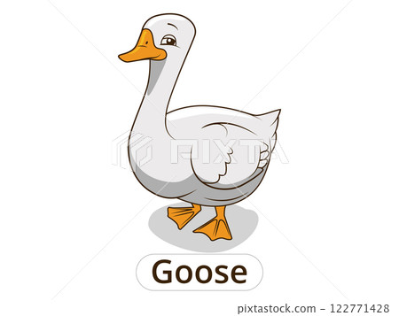 Goose animal cartoon illustration for children 122771428