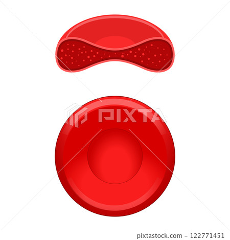 Red blood cell erythrocyte vector illustration 122771451