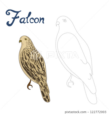 Educational game connect dots to draw falcon bird 122772003