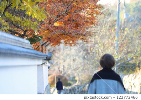 一名女子漫步在寺廟裡一條兩旁長滿美麗秋葉的小路上 一名女子漫步在寺廟裡一條兩旁長滿美麗秋葉的小路上 122772466