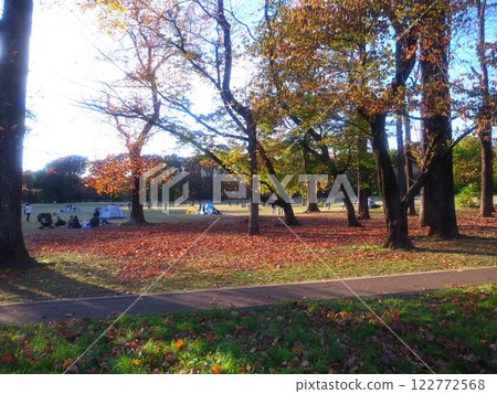 Koganei Park 122772568