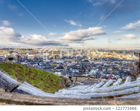 [HDR] 傾斜的葡萄園與城市景觀 122772666
