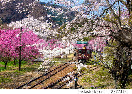 Kobe station with flowers Kobe station with flowers 122773183