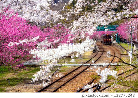 Spring in full bloom at the Watarase Valley Railway 1 Spring in full bloom at the Watarase Valley Railway 1 122773248