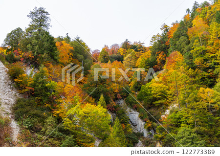 Autumn Tateyama Kurobe Alpine Route - Kurobe Dam (Lake Kurobe) with autumn leaves 122773389