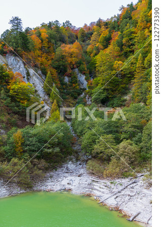Autumn Tateyama Kurobe Alpine Route - Kurobe Dam (Lake Kurobe) with autumn leaves 122773390