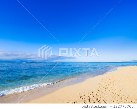 Summer, sea and beach image Hawaii 122773703
