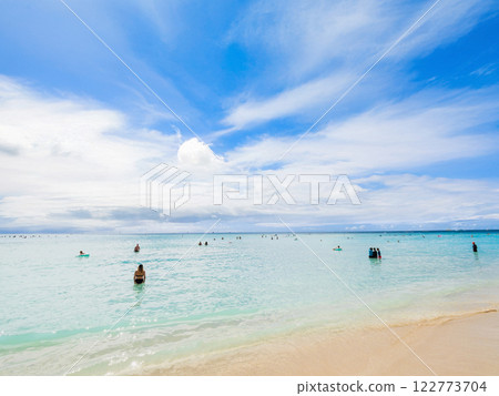 Summer, sea and beach image Hawaii 122773704
