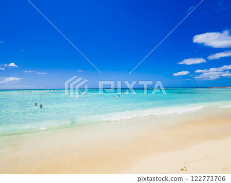 Summer, sea and beach image Hawaii 122773706